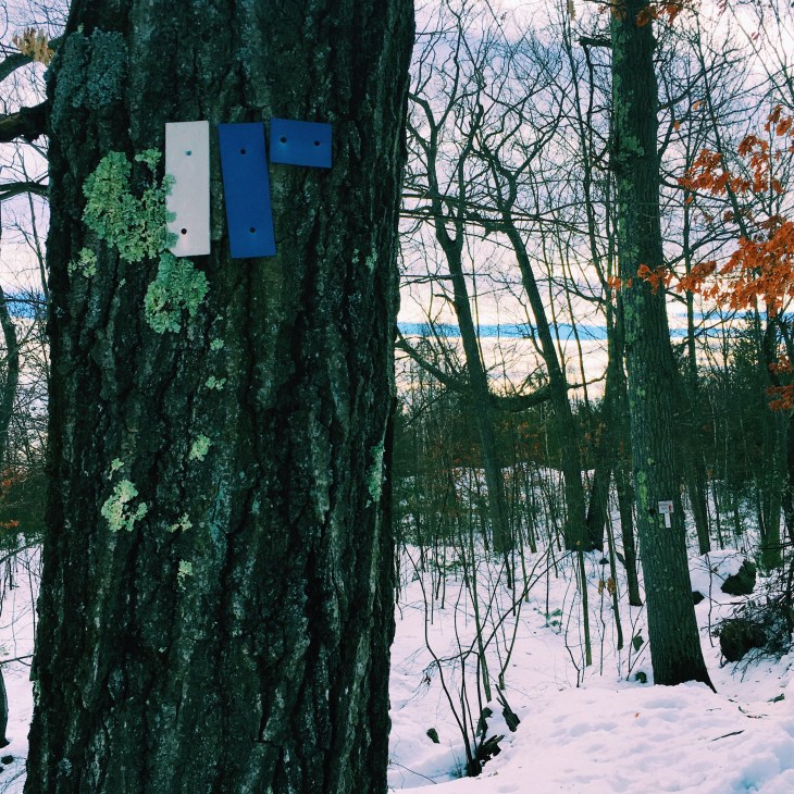 Middlesex Fells Reservation Skyline Trail